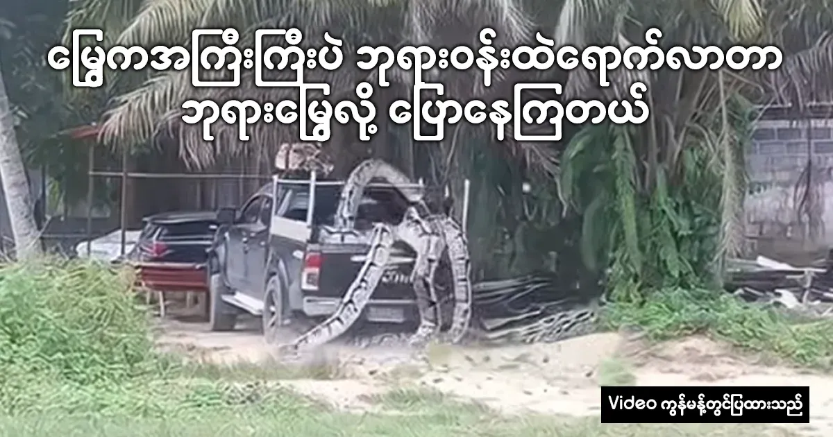 They say that the big snake that comes around the temple is the snake of the god