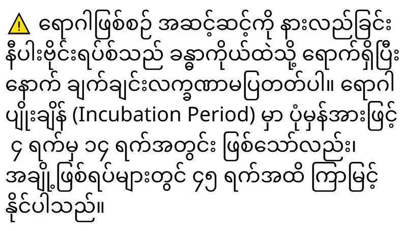 2026/01/27/shwemovies-542e40d8f4af.webp