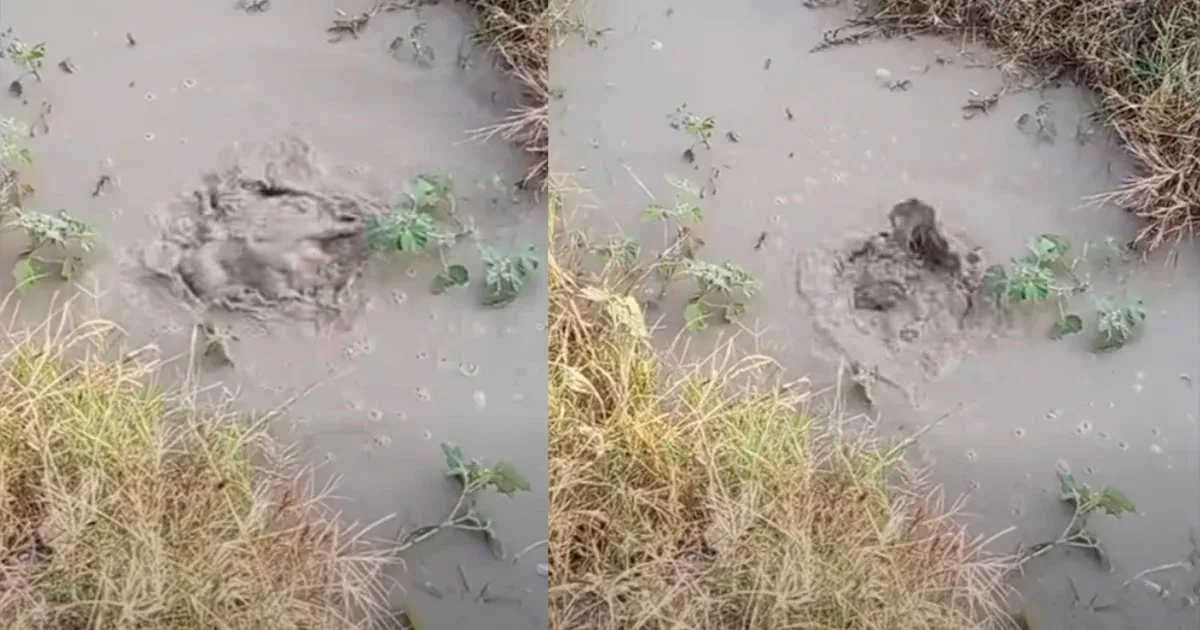 The water drain, which is famous for being full of dragons, is crowded with people who pray