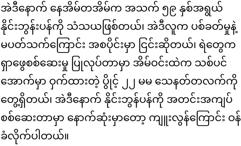1 outspoken Burmese migrant worker in Chiang Mai