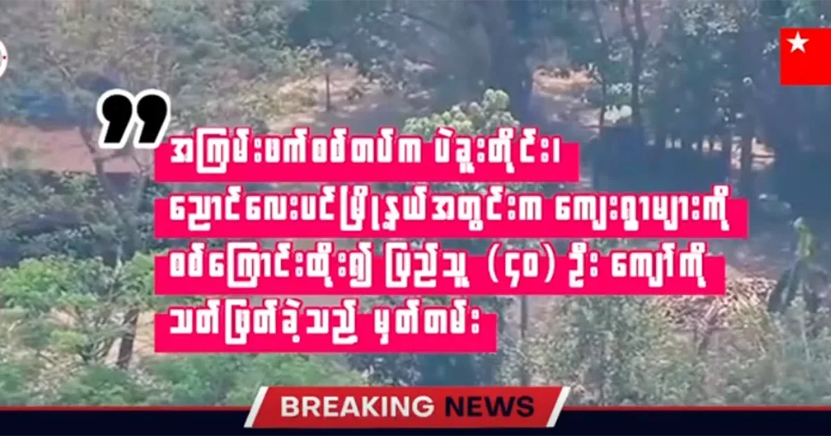 Video file of the army disappearing more than 40 civilians from the villages of Nyaung Lay Pin Township.