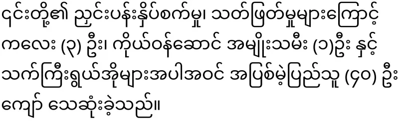 Video file of the army disappearing more than 40 civilians from the villages of Nyaung Lay Pin Township.