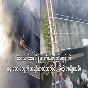 The woman who was the first to rescue the dogs while they were on fire