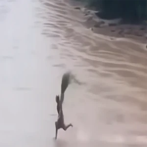 It's so scary