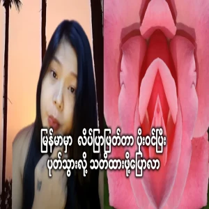 In Myanmar, a person who cuts a butterfly gets infected and is in trouble
