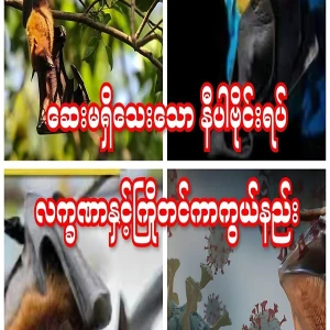 Nipah virus symptoms and preventive measures