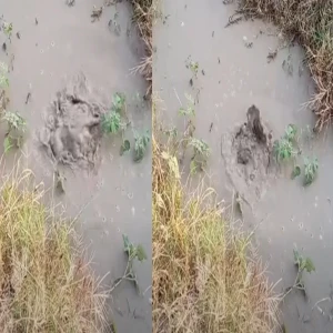The water drain, which is famous for being full of dragons, is crowded with people who pray