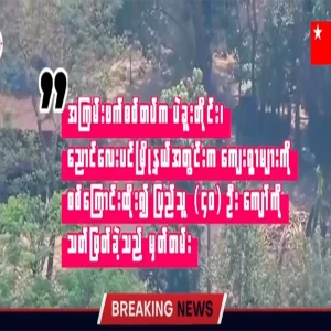 Video file of the army disappearing more than 40 civilians from the villages of Nyaung Lay Pin Township.