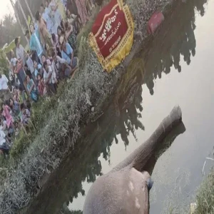 an elephant at the Kyauk Dam donation